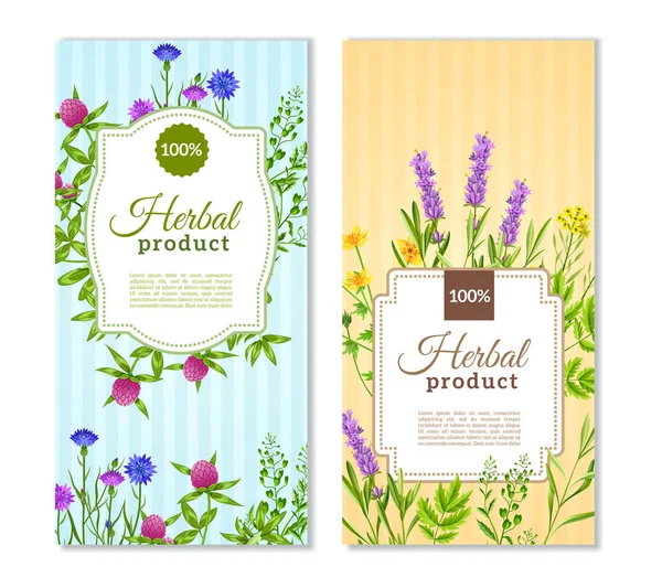 Herbs And Wild Flowers Banners — Stock Vector