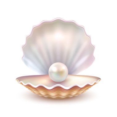 Pearl Shell Realistic Close Up Image  clipart