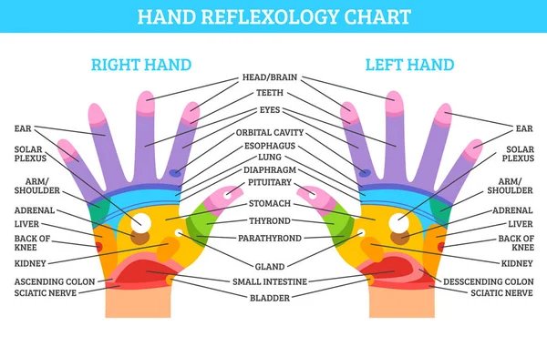 Reflexología de la mano — Vector de stock