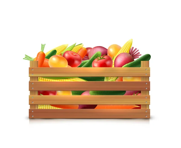 Zöldség betakarítás sablon — Stock Vector