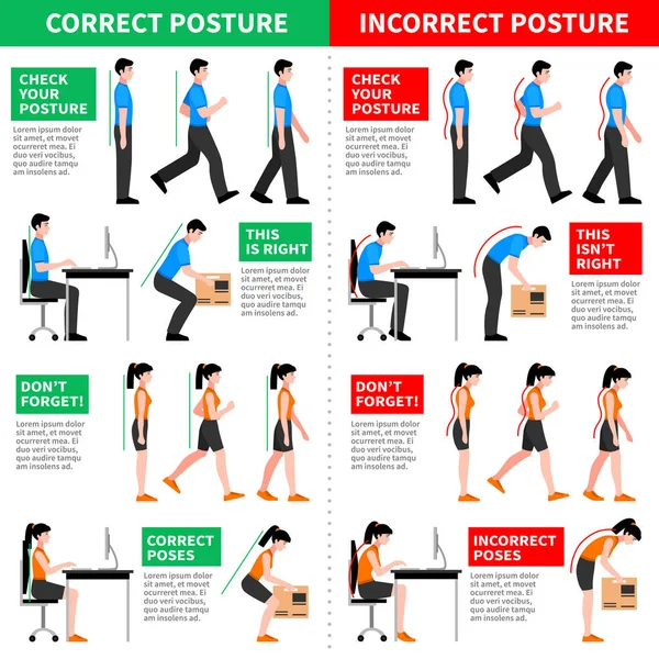 Correct And Incorrect Postures Infographics — Stock Vector