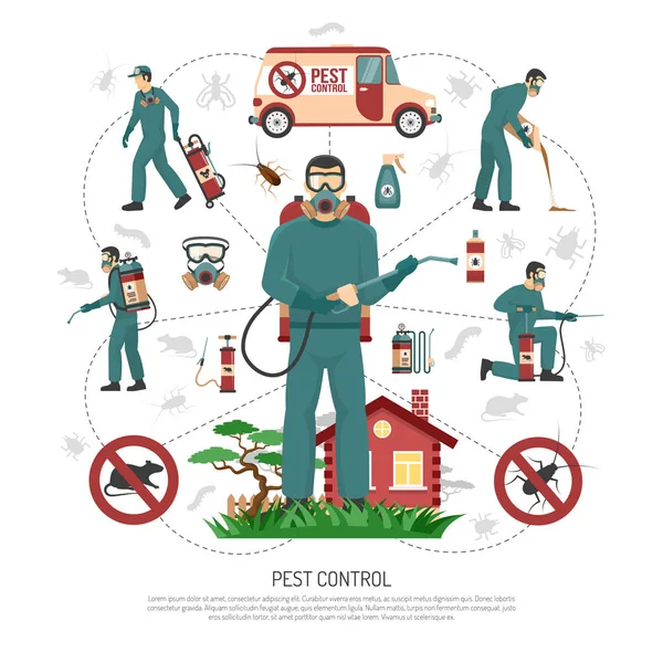 Schädlingsbekämpfung Dienstleistungen flache Infografik Plakat — Stockvektor