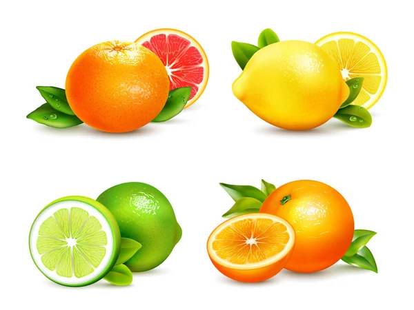 Conjunto de 4 iconos realistas de frutas cítricas — Vector de stock