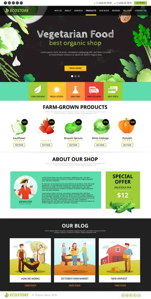 Web sayfası Eco gıda — Stok Vektör