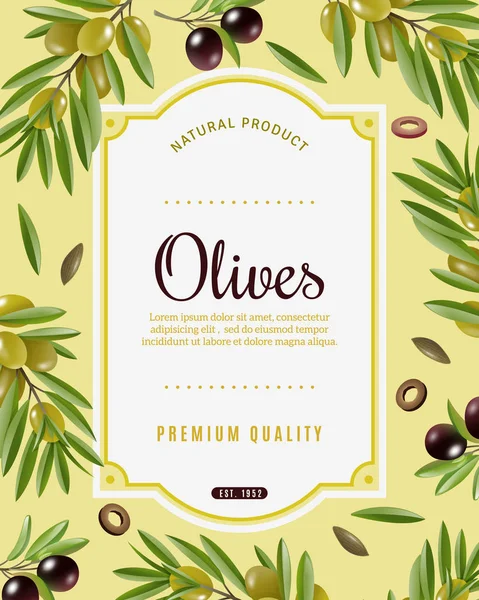 Olive Frame Background — Stock Vector