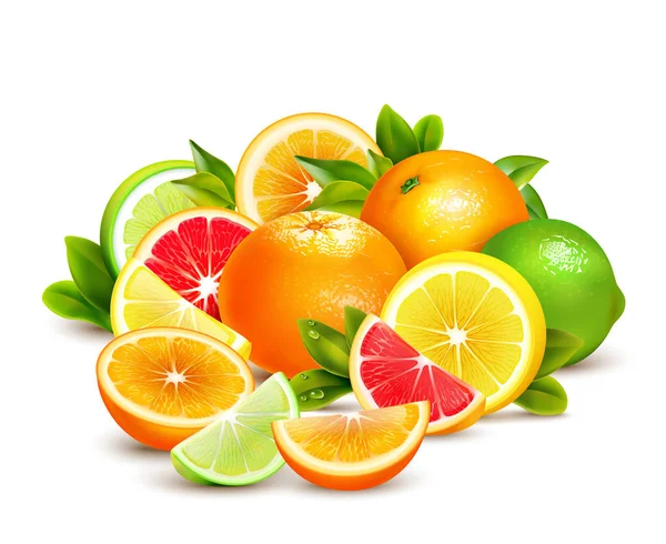 Citrus Fruits Collection Realistic Composition — Stock Vector