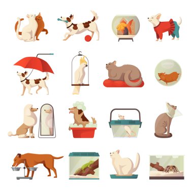 Evde beslenen hayvan dükkan Icons set