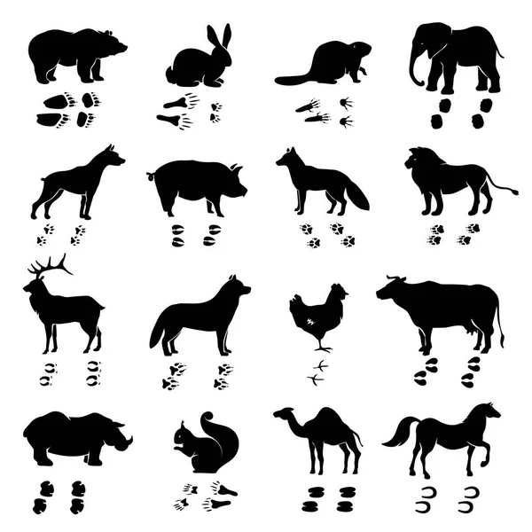 Ensemble de silhouettes et pistes pour animaux — Image vectorielle