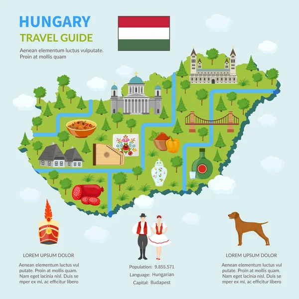 ハンガリーのインフォ グラフィック マップ — ストックベクタ