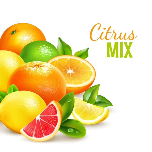 Citrusvruchten Mix realistische achtergrond Poster — Stockvector