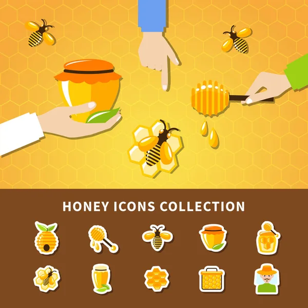 Composição do mel e das mãos — Vetor de Stock