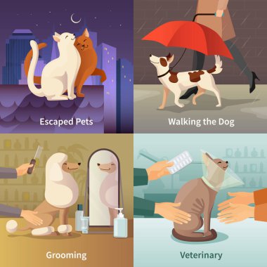 Pet Shop konsepti Icons Set
