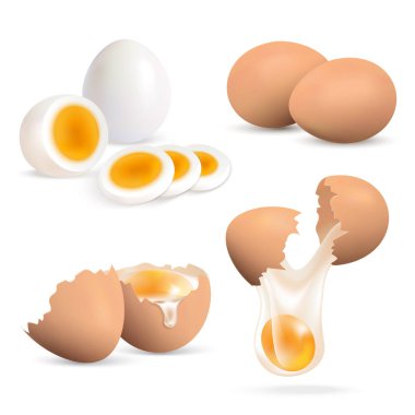 Eggs Realistic Set clipart