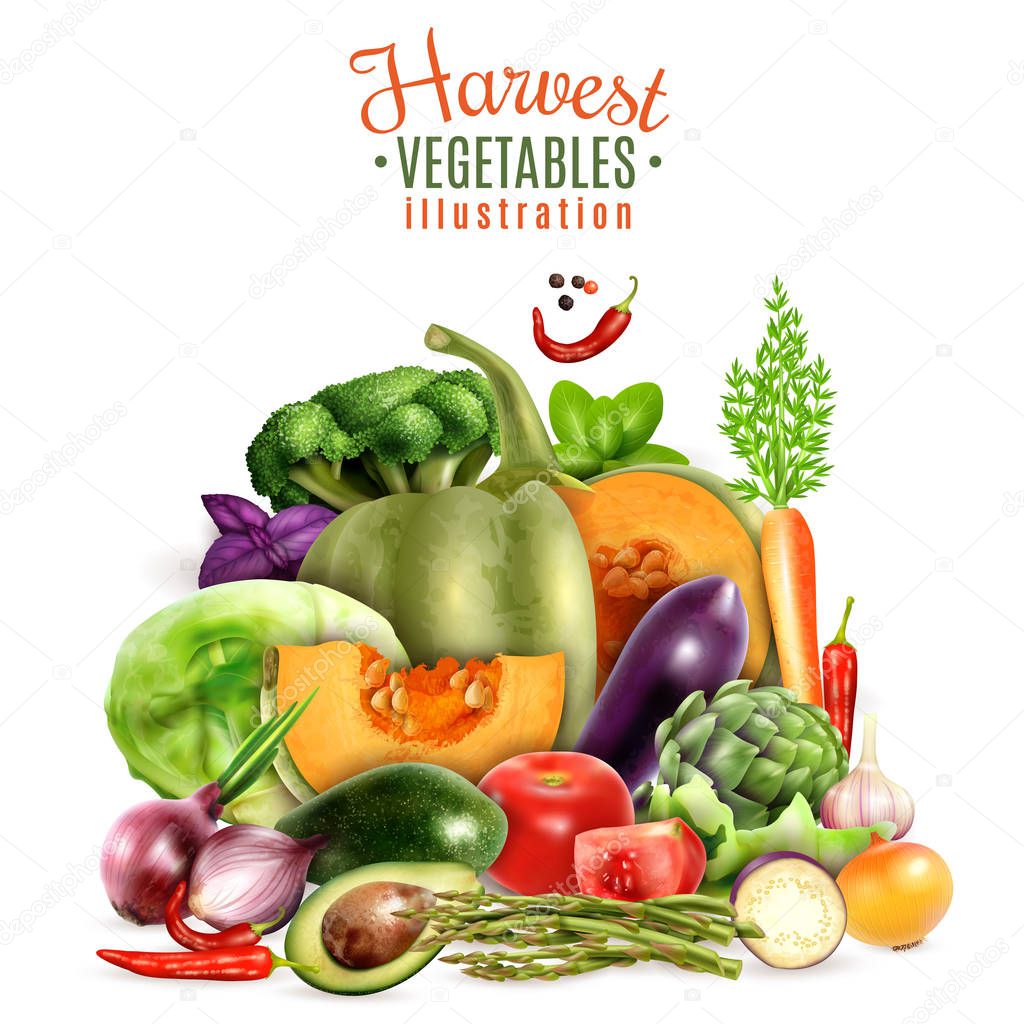 Harvest Of Vegetables Illustration