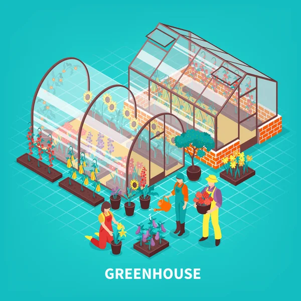 Greenhouse Isometric Composition — Stock Vector