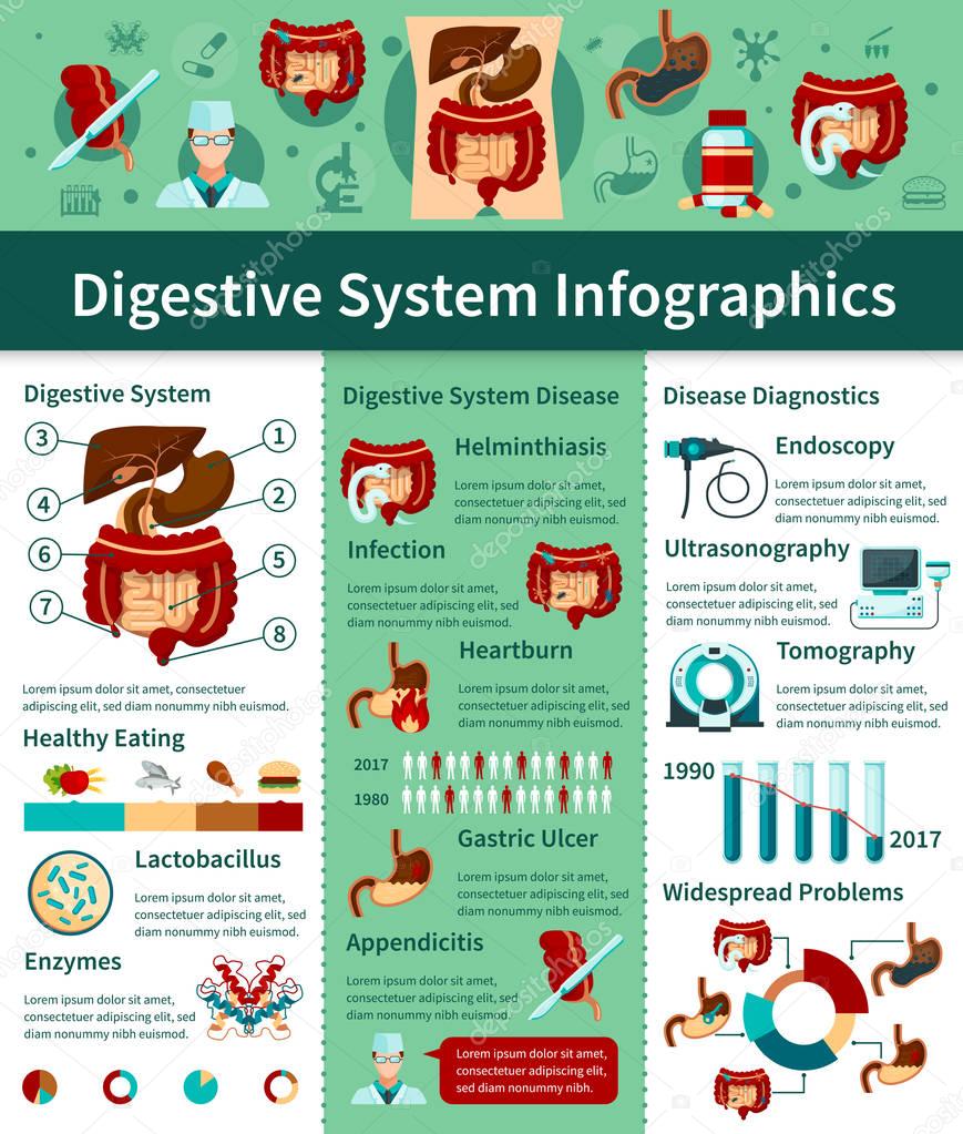 Digestive System Flat Infographics