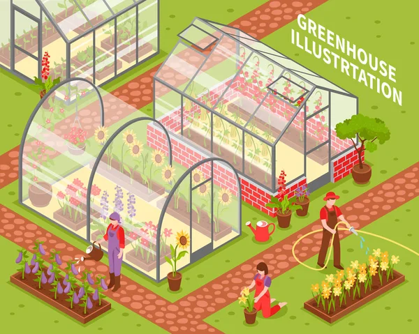 Colored Greenhouse Composition — Stock Vector