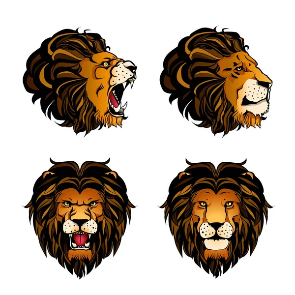 Koleksi Empat Kepala Singa Berwarna - Stok Vektor