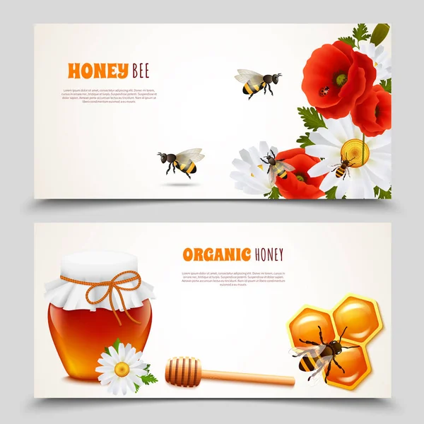 Honey Banner Set — Stock Vector