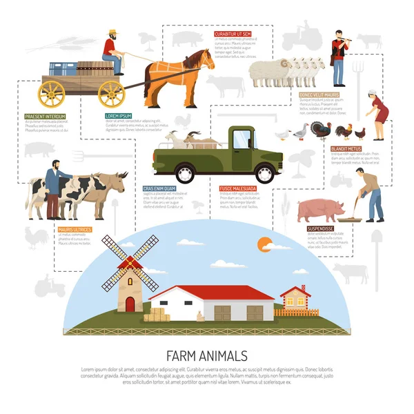 Boerderij dieren stroomdiagram Concept — Stockvector