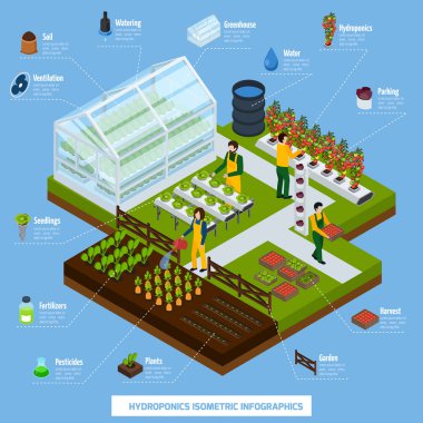 Suda ve Aeroponics Infographic Set