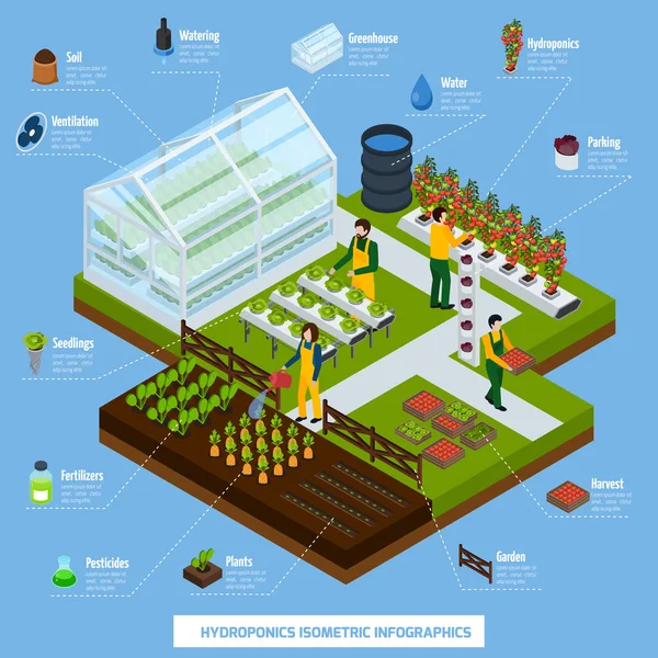 Hydroponika i Aeroponics Infographic zestaw — Wektor stockowy