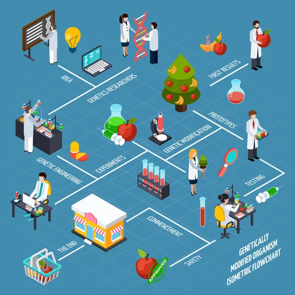 Diagrama de flujo isométrico de Gmo — Vector de stock