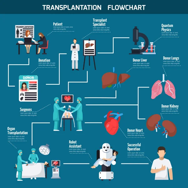 Ablaufplan für Transplantationen — Stockvektor