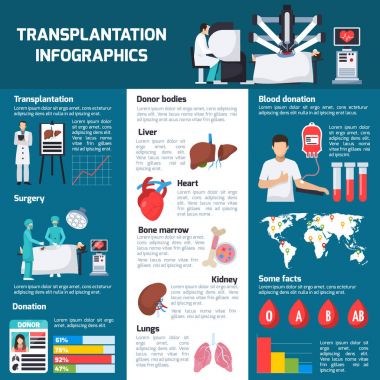 Nakli ortogonal Infographics