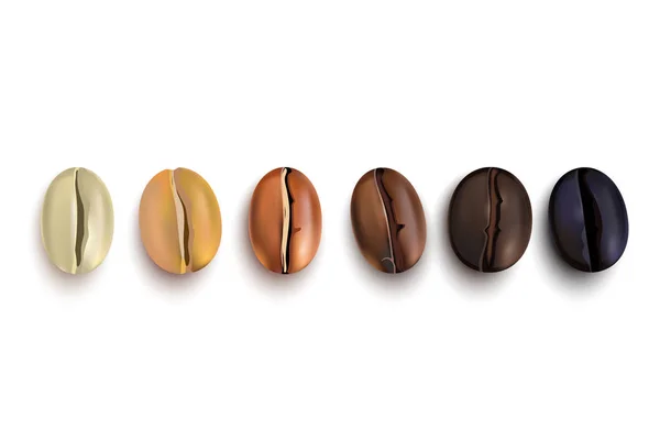 Смажені кавові зерна Етапи — стоковий вектор