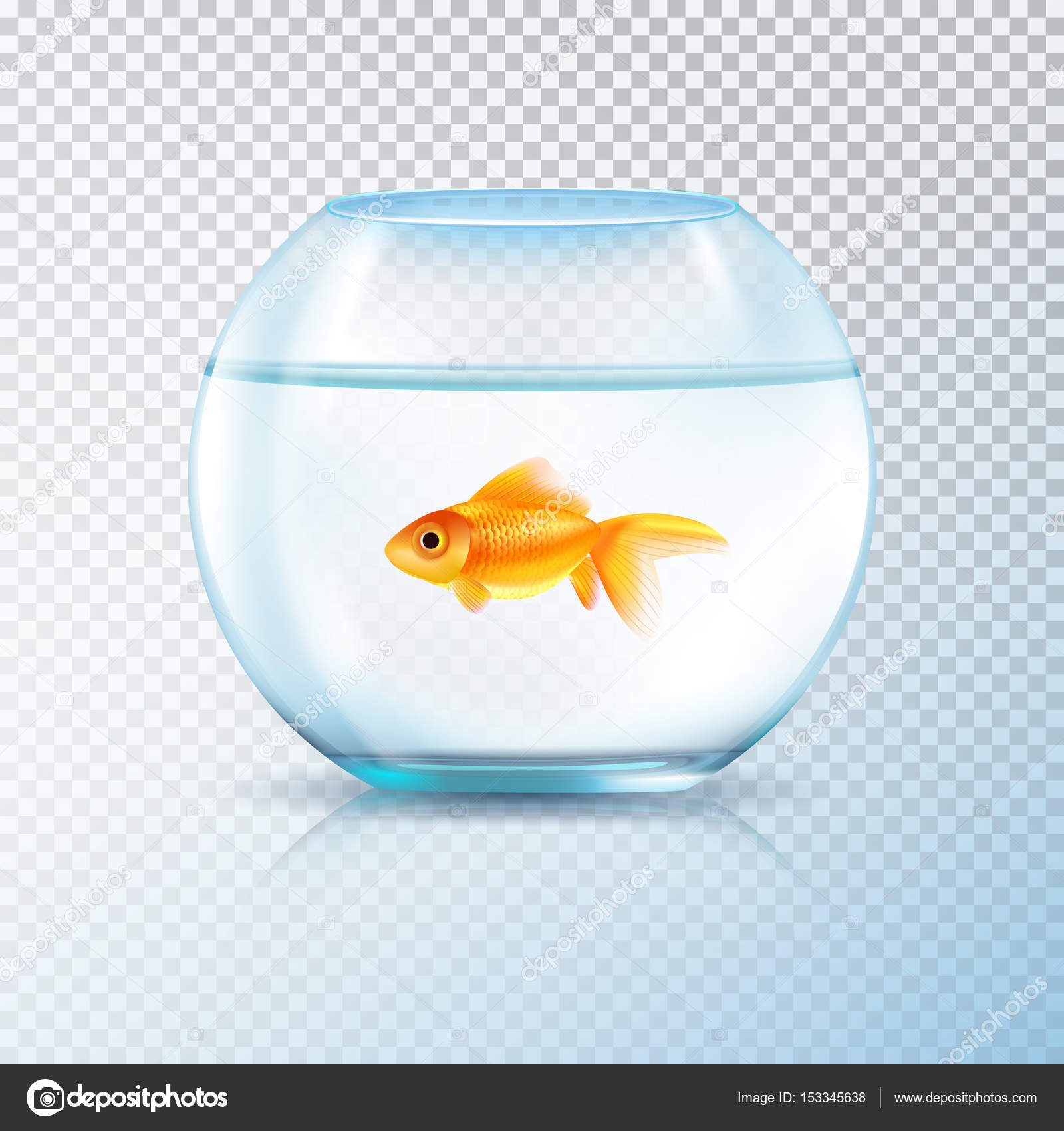 Golden Fish Bowl Realistic Transparent Stock Vector by ©macrovector  153345638