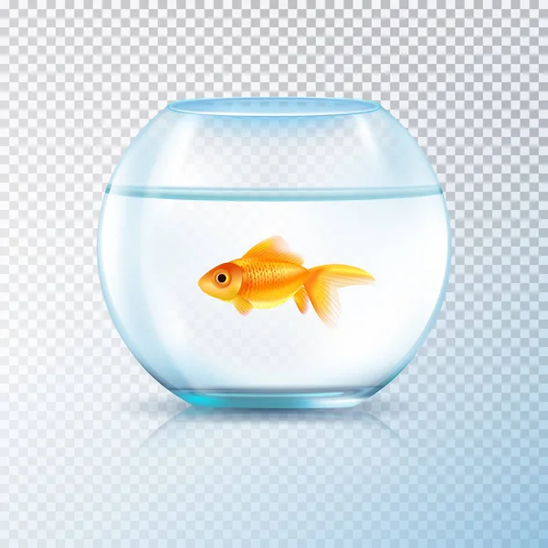 Ciotola di pesce d'oro realistico trasparente — Vettoriale Stock