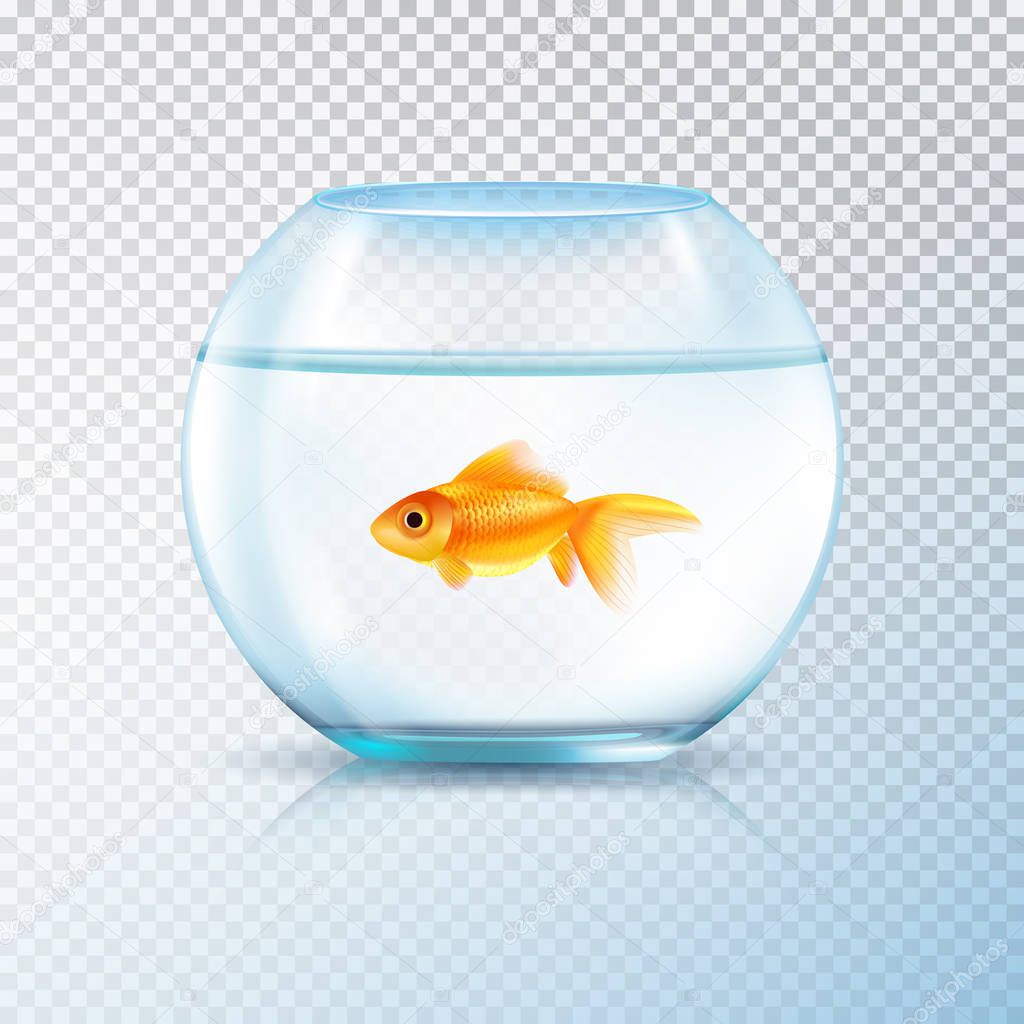 Download Golden Fish Bowl Realistic Transparent — Stock Vector ...
