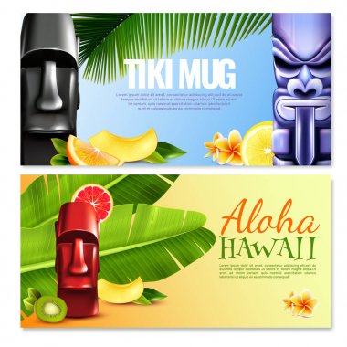 Hawaiian parti yatay Banner