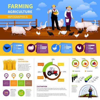 Düz Infographics tarım