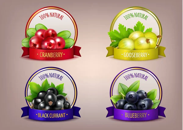 Berry Labels realistische Eco-collectie — Stockvector