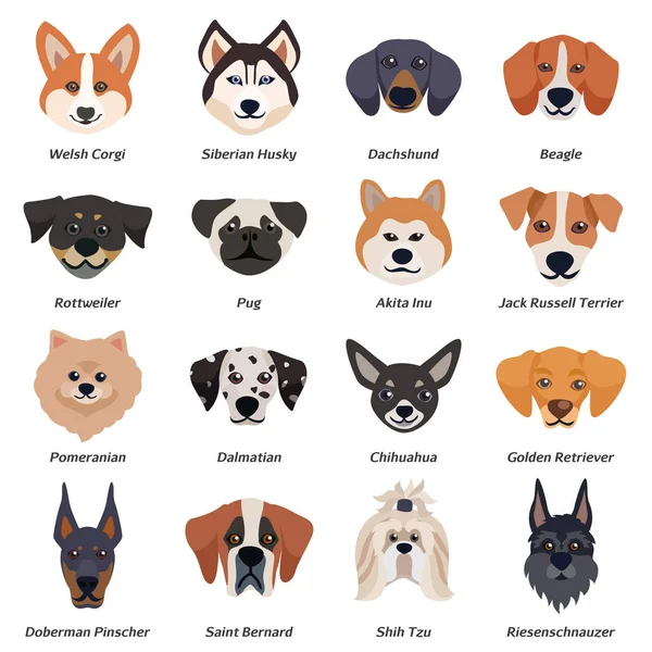 Rasechte honden gezichten Icon Set — Stockvector