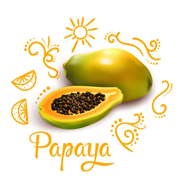 Doodles rond Papaya samenstelling — Stockvector