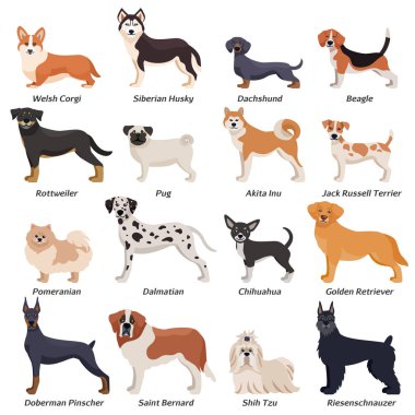 Renkli safkan köpekler Icon Set