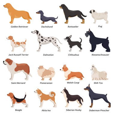 Profil köpekler Icon Set