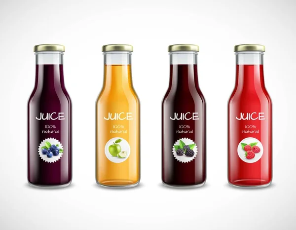 Glasflaskor med frukt Juice samling — Stock vektor