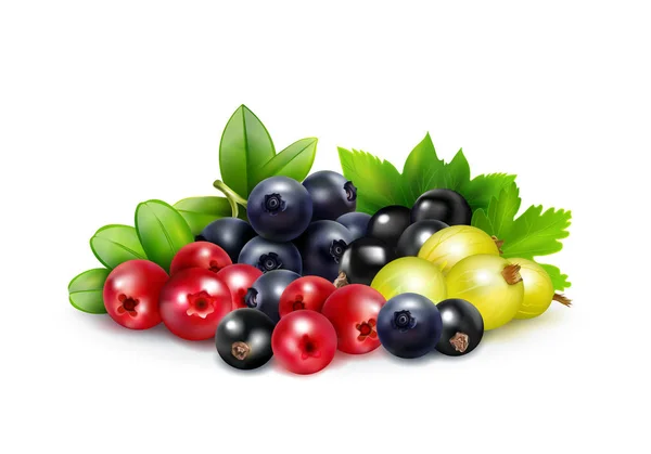 Berry Mix Realistic Concept — Stock Vector