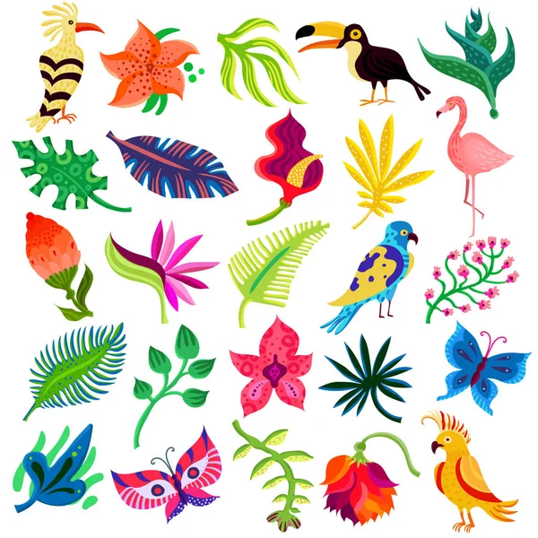 Troipcal Flora และ Fauna — ภาพเวกเตอร์สต็อก