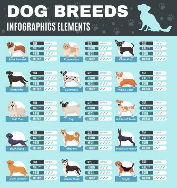 Infographics cins köpekler