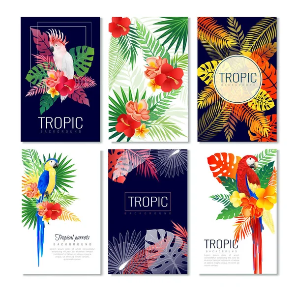 热带设计卡集合 — 图库矢量图片