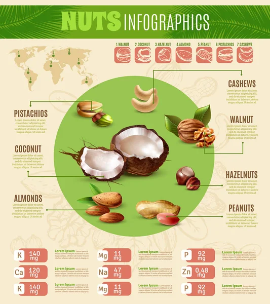 Realistické ořechy infografika — Stockový vektor