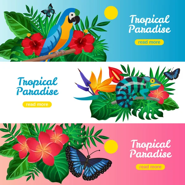 Ensemble de bannière horizontale tropicale — Image vectorielle