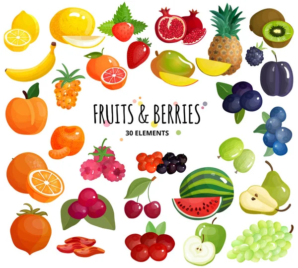 과일 열매 구성 배경 포스터 — 스톡 벡터