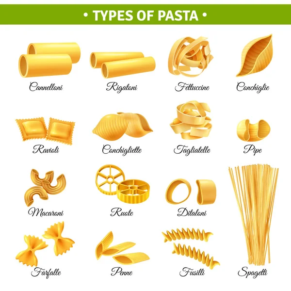 Těstoviny typy infografika — Stockový vektor