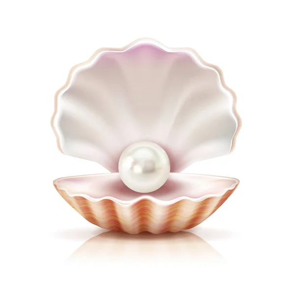 Shell Pearl Realistic Isolated Image — Stock Vector
